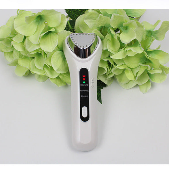 Home Facial Beauty Instrument